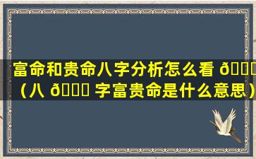 富命和贵命八字分析怎么看 🍀 （八 🐒 字富贵命是什么意思）